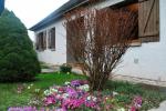 Mareuil-en-brie - gîte au coeur de la champagne - Miniature