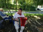 Accordeoniste pour fêtes de famille - Miniature