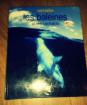 Livre baleine et cachalots - Miniature