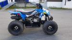 Quad polaris outlaw 110 - Miniature