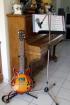 Cours de guitare+chant - Miniature