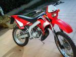 Gilera 50 rcr - Miniature