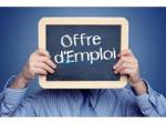 Rech un chauffeur urgent ayant un permis b (h/f) - Miniature