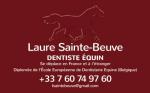 Technicien dentaire equin - Miniature