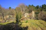 Vente de deux mas sur plusieurs hectares en cévennes - Miniature