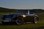 Austin healey 3000 mk3 (1966) - Miniature