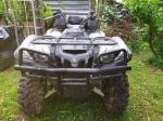 Yamaha grizzly 700 - Miniature