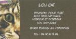 Pension pour chats - Miniature