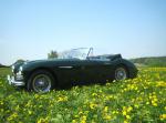 Austin healey 3000 mk2 - Miniature