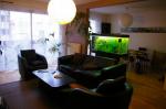 Paris - grand appartement 87 m2 - Miniature