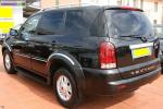 4/4 rexton top premium - Miniature
