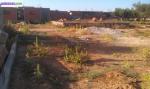 Terrain en tunisie - Miniature