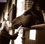 Garde de vos animaux, grande disponibilité - Miniature