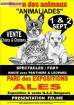 1/2 sept 2012 ales animaliades salon des animaux parc des... - Miniature